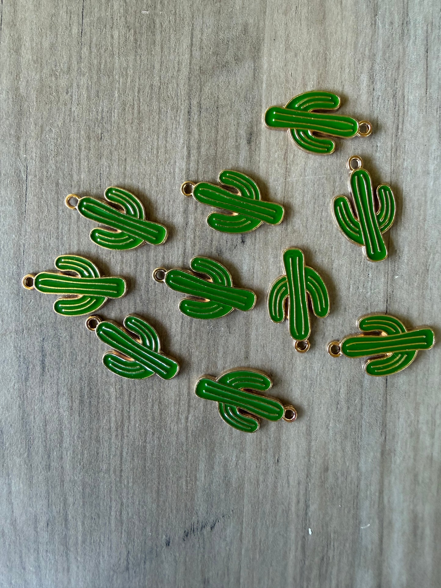 Cactus Charm Lot (Copy)