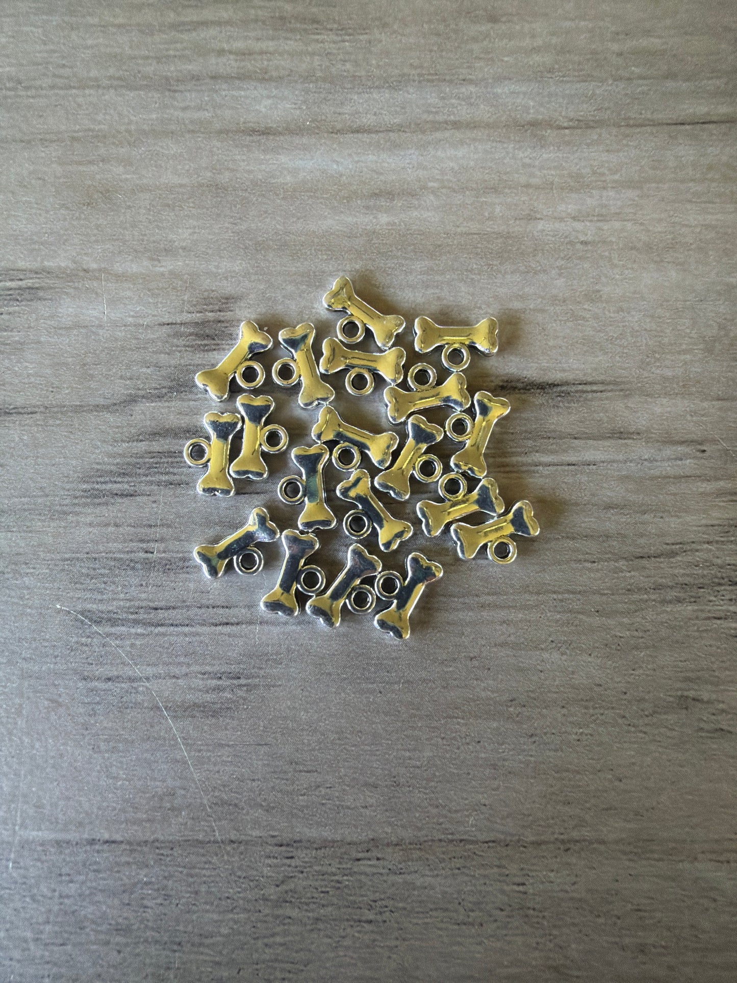 Dog Bone Charms Lot