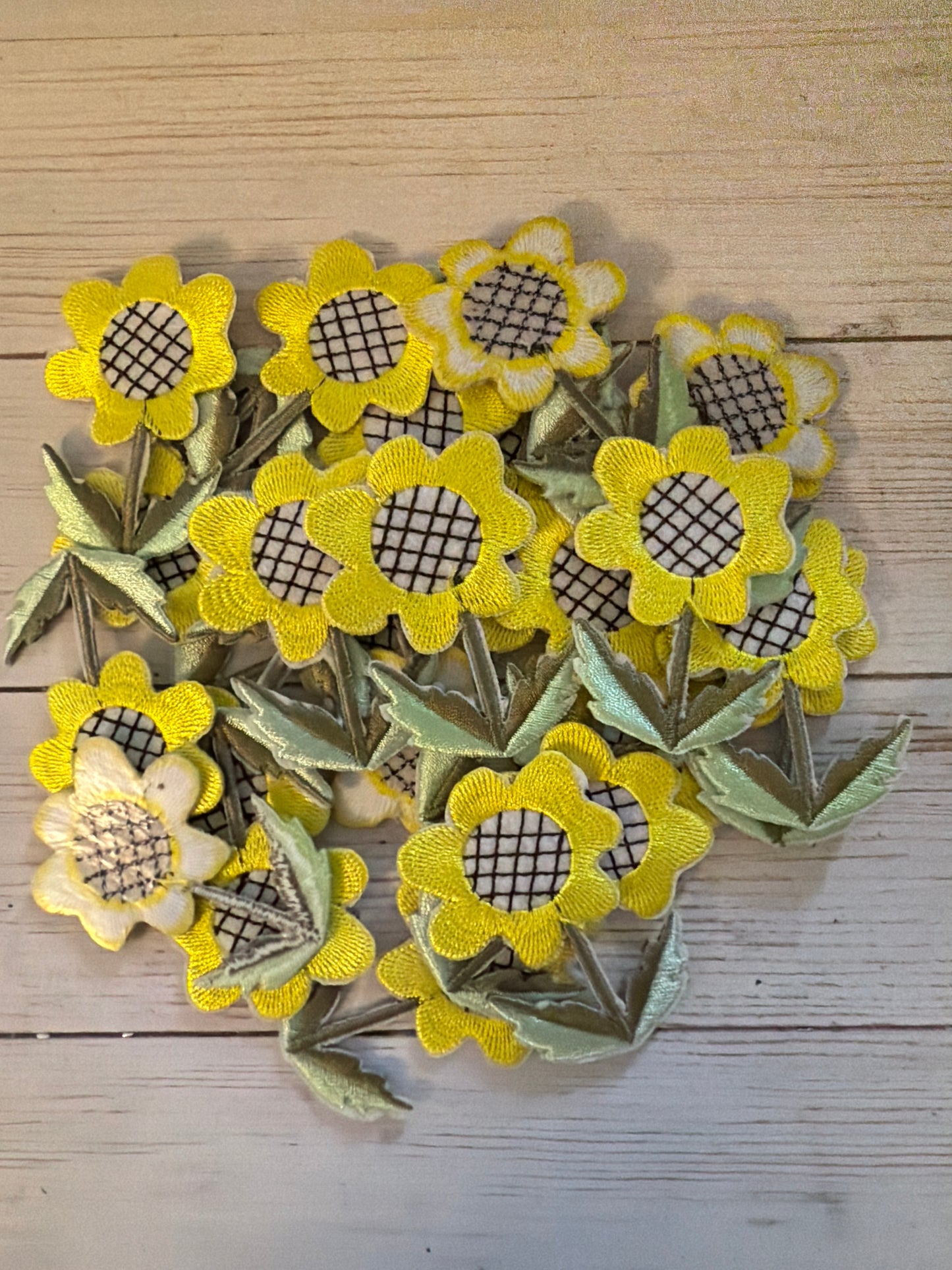 Sunflower Patch