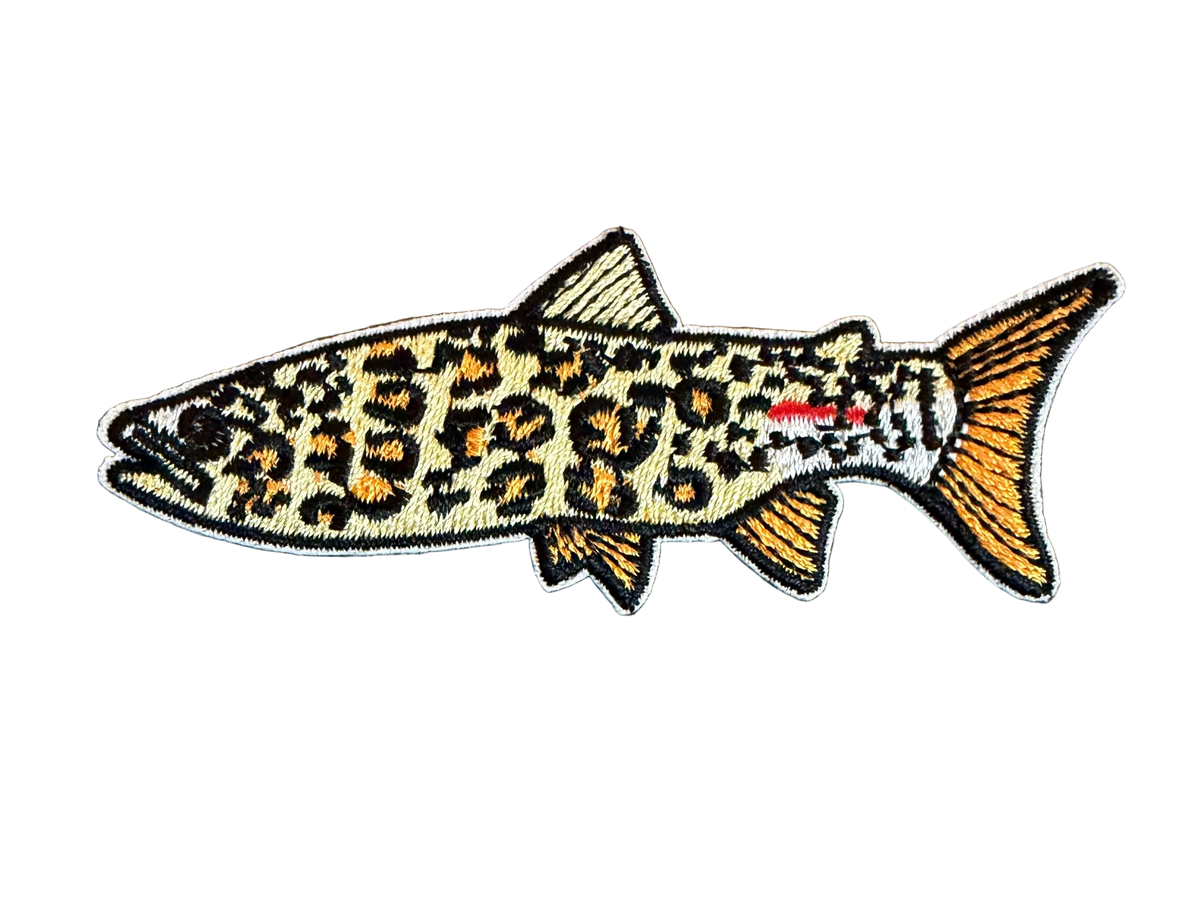 Leopard Fish Patch