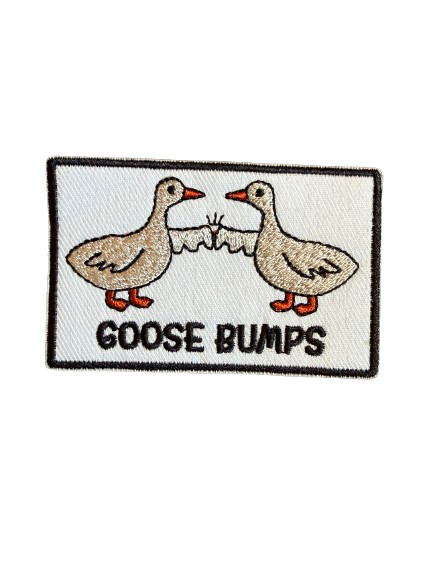 Goosebumps  Patch 13j